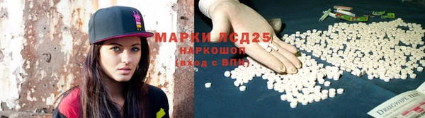 гашик Белокуриха