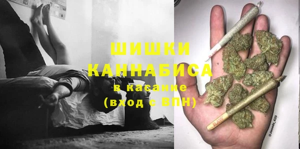 гидра Богданович