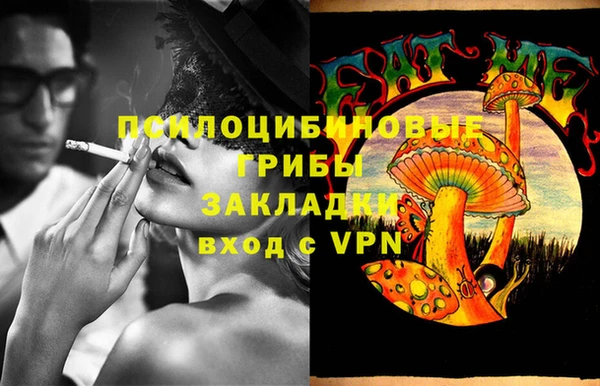 синтетический гашиш Богородицк