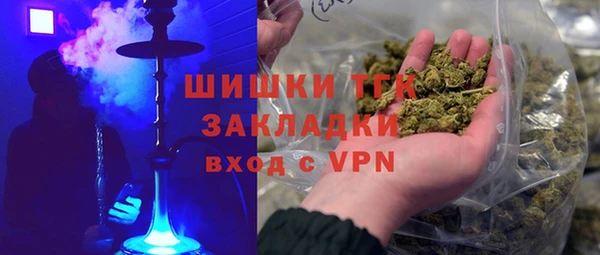 гашик Белокуриха