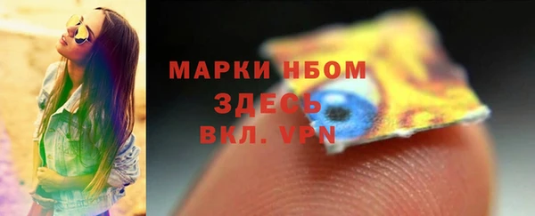 гидра Богданович