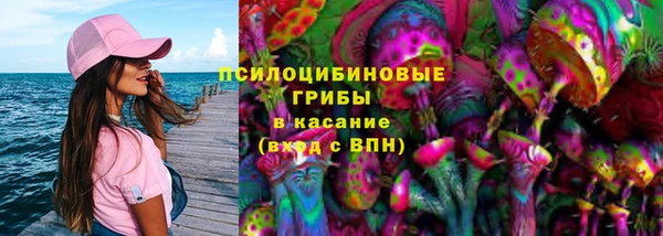 эйфоретик Дмитров