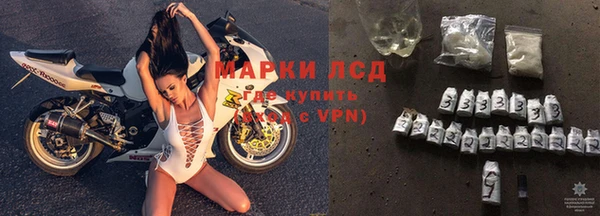 гашик Белокуриха